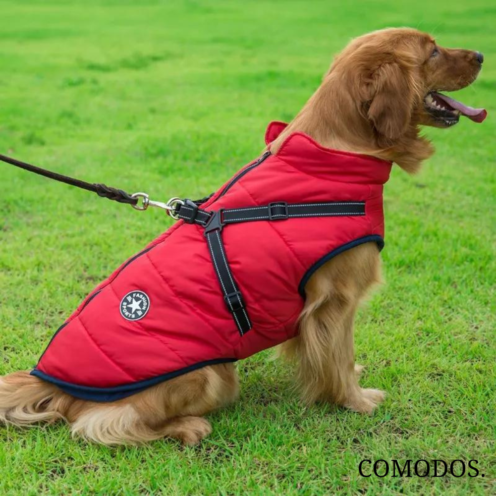 CozyPaw™ Waterdicht Harnasjack| Bescherm Uw Hond Tegen de Kou