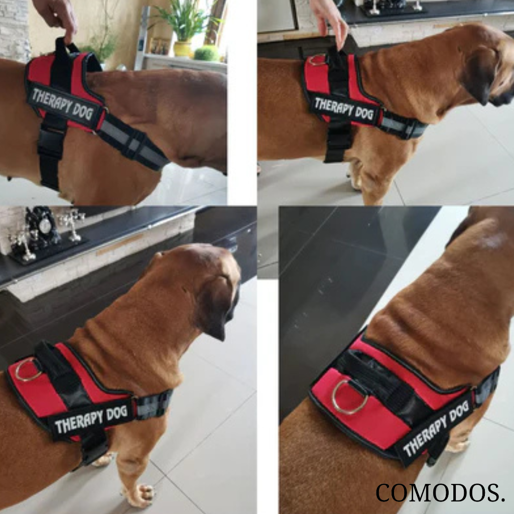 StrapEase Huisdierharnas™ | Comfort Zonder Compromissen