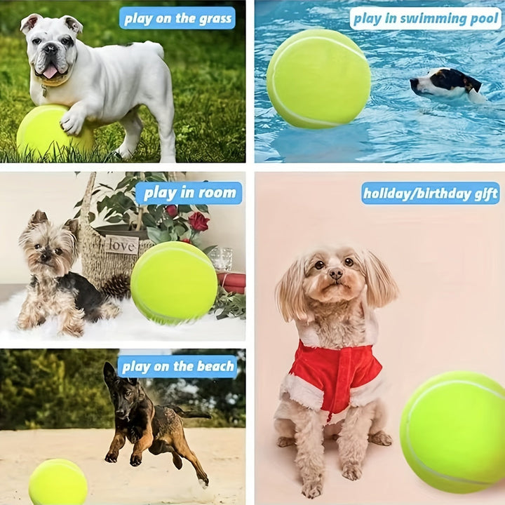 Extra Duurzame Tennisbal voor Grote Honden – Ideaal voor Spel en Buitenactiviteiten