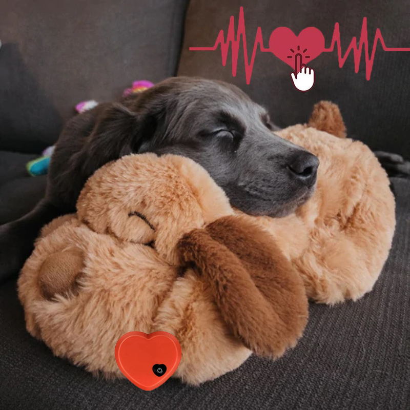 KnuffelBuddy™ | Vergeet Stress en Vuurwerkangst
