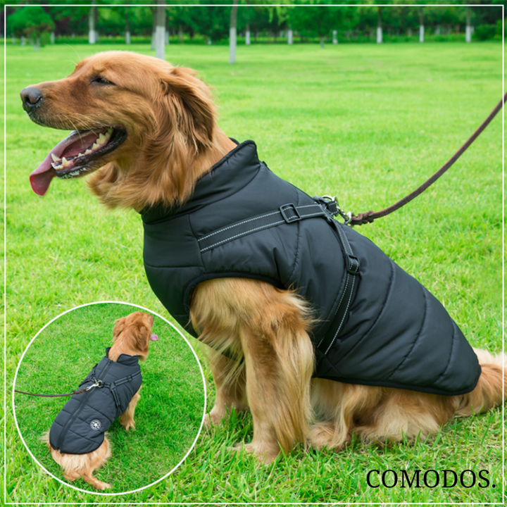 CozyPaw™ Waterdicht Harnasjack| Bescherm Uw Hond Tegen de Kou