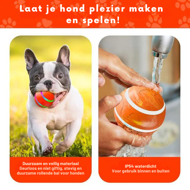 FetchMate Orb™ | Vermindert angst, voorkomt verveling, bevordert lichaamsbeweging.