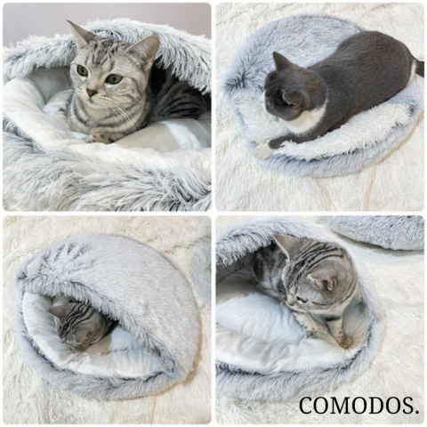 FurRetreat™ | Waar Comfort Harig Geluk Ontmoet