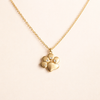 Gouden Ketting met Pootje Charm