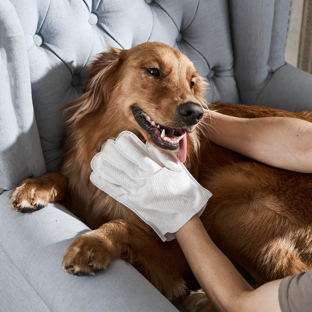 Reinigingshandschoenen voor huisdieren, snelle hygiënedoekjes voor huisdieren