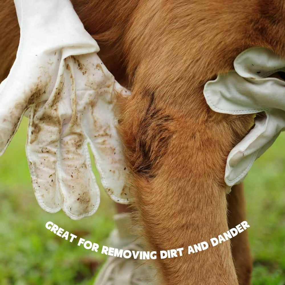 Reinigingshandschoenen voor huisdieren, snelle hygiënedoekjes voor huisdieren