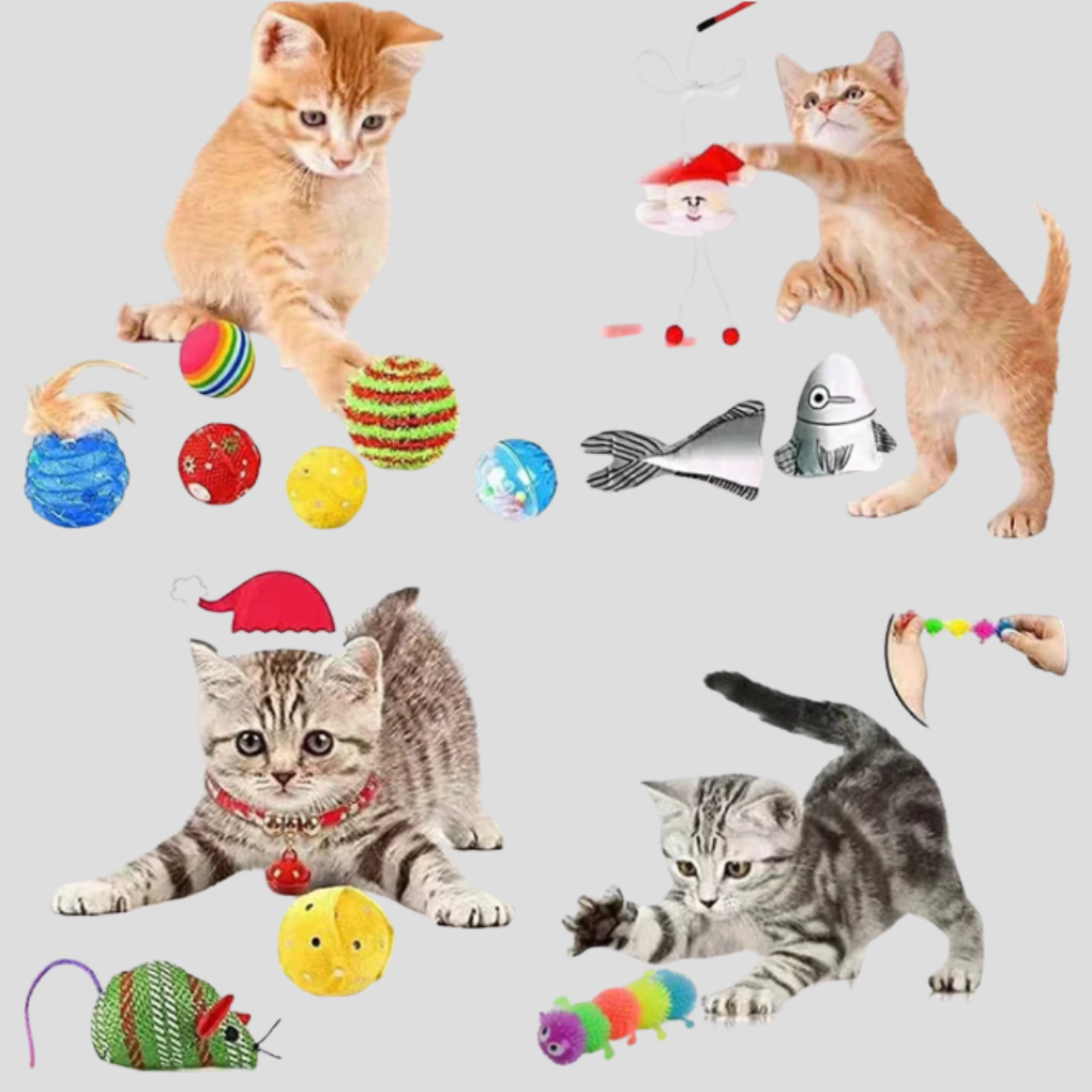 Kattenspeelgoed Adventskalender 24-daagse interactieve aftelset