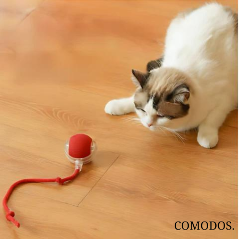 PouncePal™ Interactief Kattenspeelgoed | Houd Uw Kat Actief en Gelukkig
