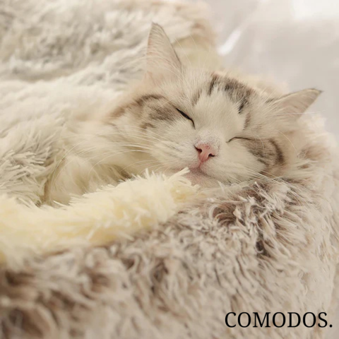 FurRetreat™ | Waar Comfort Harig Geluk Ontmoet