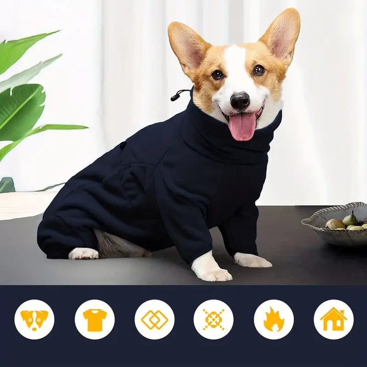 PawProtect - Winddichte Winterjas Voor Honden Met Volledige Bescherming