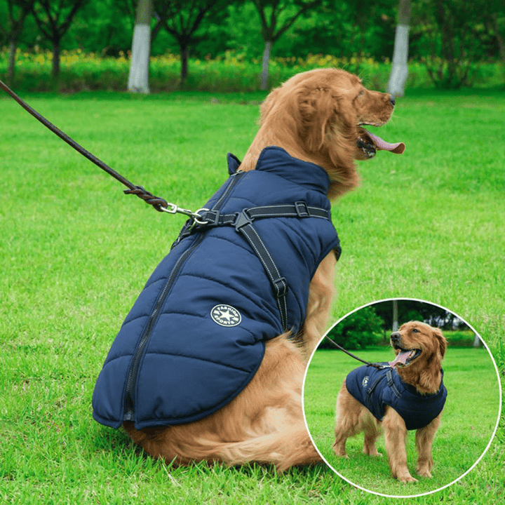 PupGuard - Winterjas voor honden met tuigje