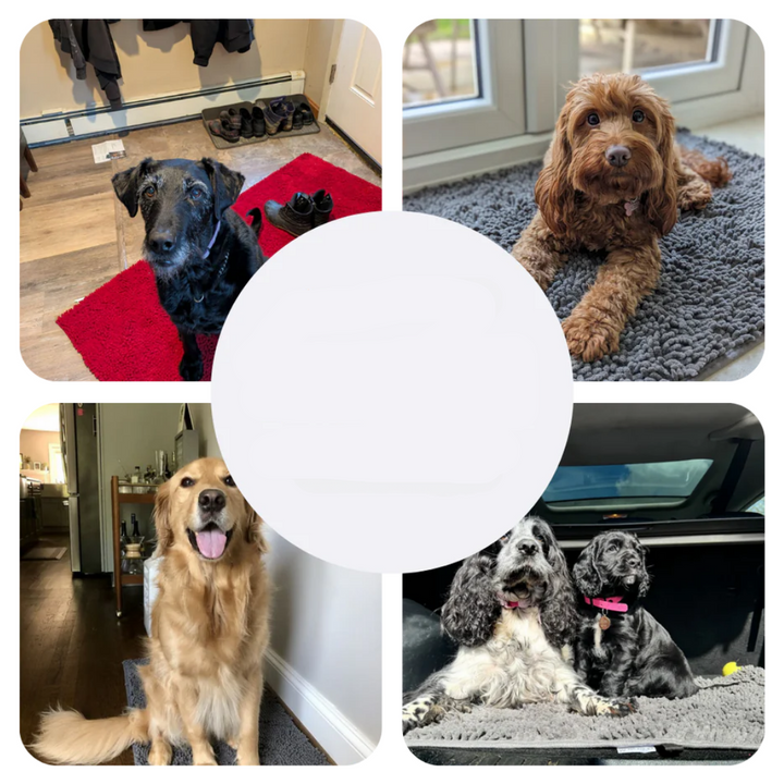 Super Absorberende Hondenmat – PawMat