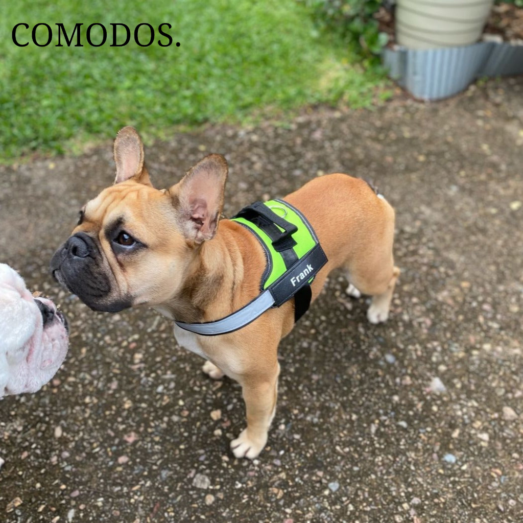 StrapEase Huisdierharnas™ | Comfort Zonder Compromissen