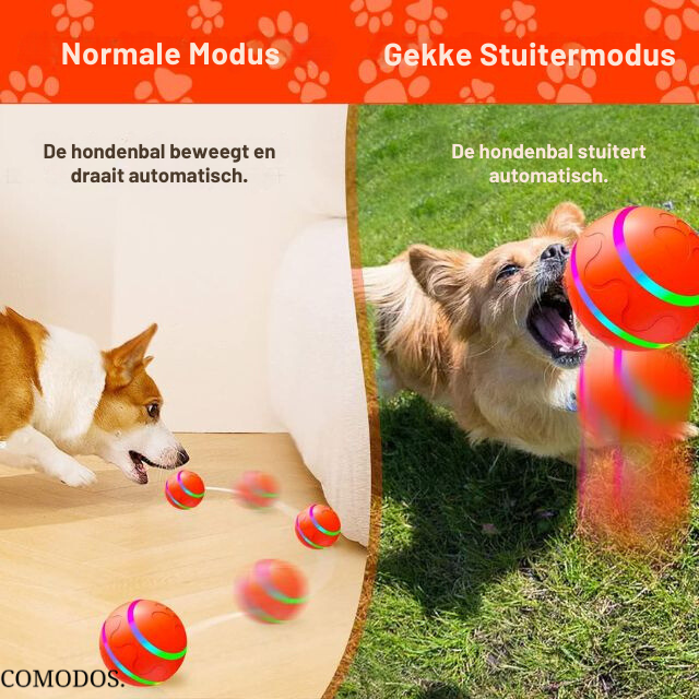 FetchMate Orb™ | Vermindert angst, voorkomt verveling, bevordert lichaamsbeweging.
