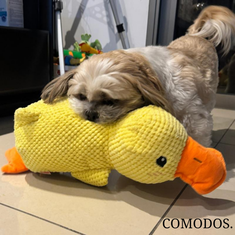 SereniQuack™ Hondenknuffel | Verlicht Angst en Stress