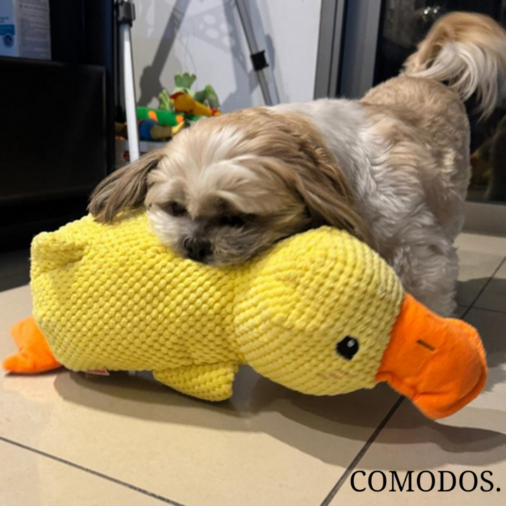 SereniQuack™ Hondenknuffel | Verlicht Angst en Stress