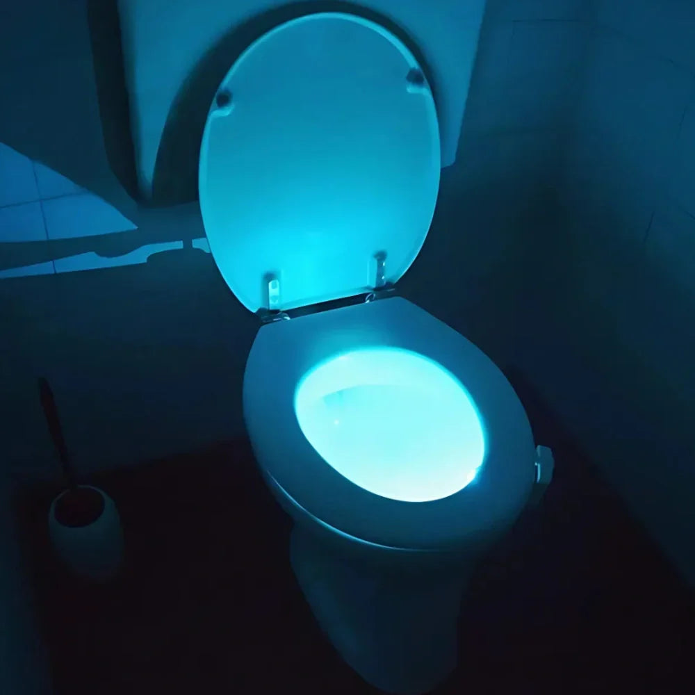 Slim toiletlampje, LED met bewegingssensor