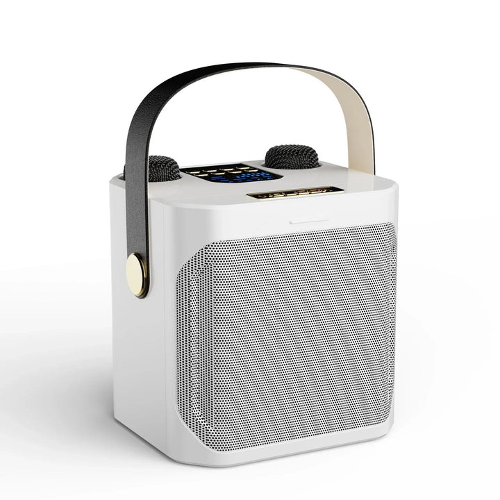 Krachtige Bluetooth Karaokespeaker – Draagbare Draadloze Subwoofer Stereo Surround 360° met Dubbele Microfoon