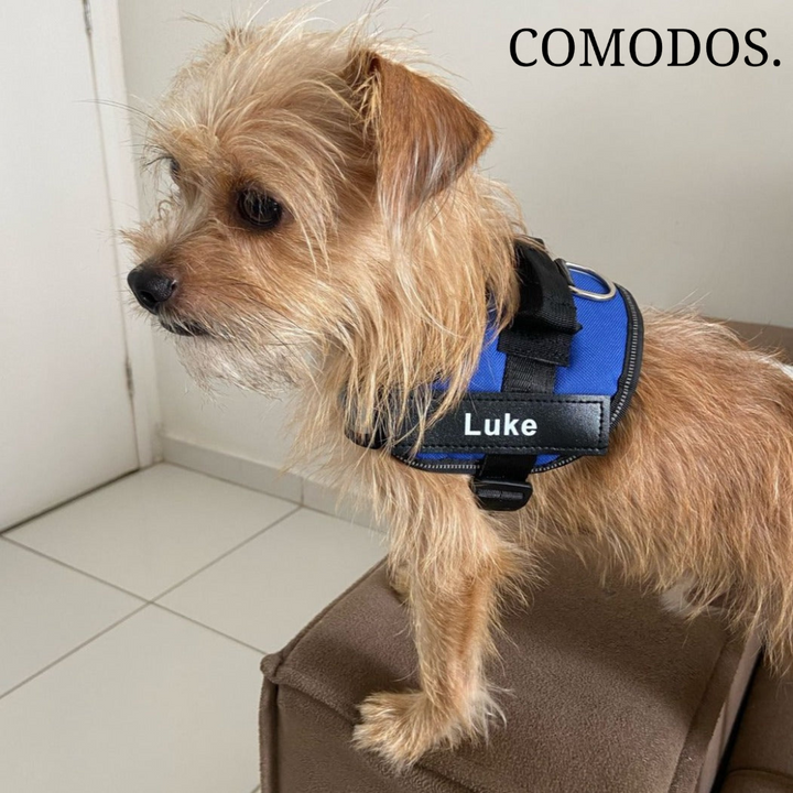 StrapEase Huisdierharnas™ | Comfort Zonder Compromissen