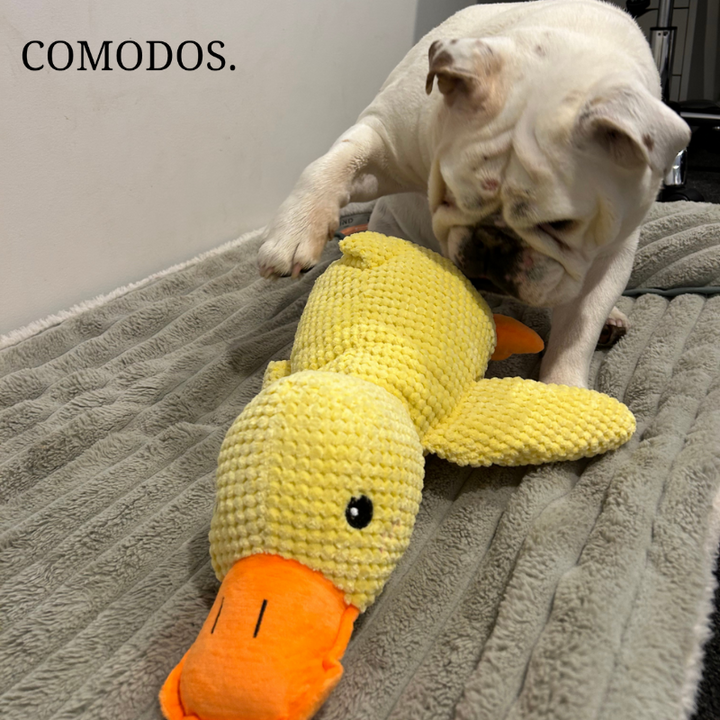 SereniQuack™ Hondenknuffel | Verlicht Angst en Stress