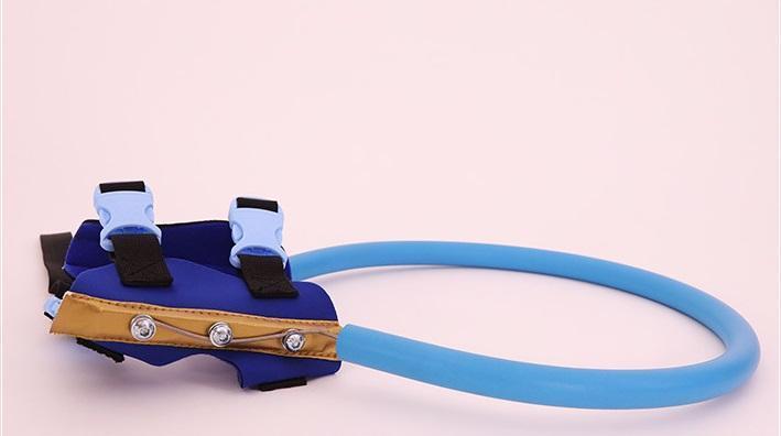 Beschermende bumperhalsband met harnas, loophulp voor blinde honden
