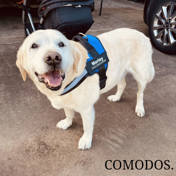 StrapEase Huisdierharnas™ | Comfort Zonder Compromissen
