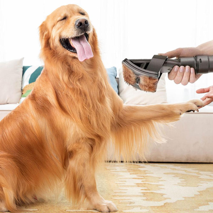 DogCatFri VacuumBrush - Huisdieren Verzorging Stofzuiger Borstelgereedschap