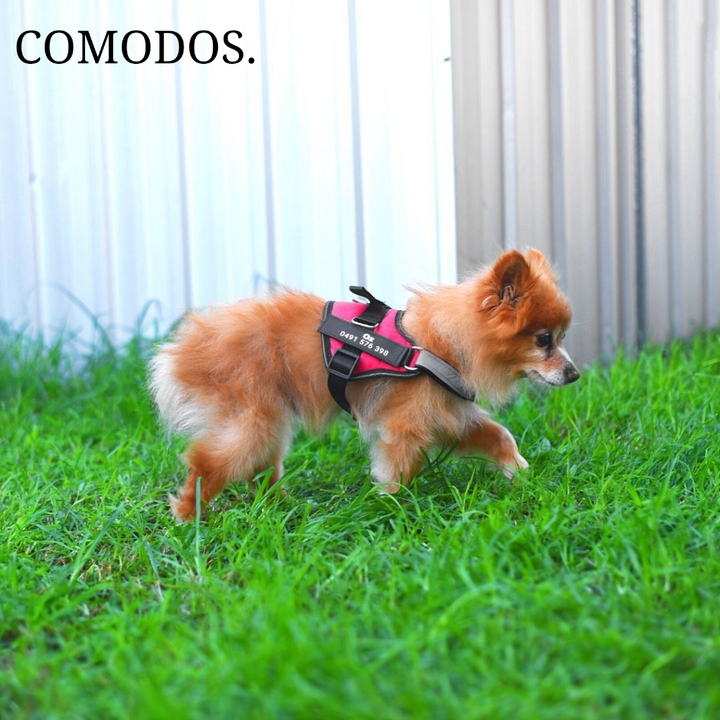 StrapEase Huisdierharnas™ | Comfort Zonder Compromissen