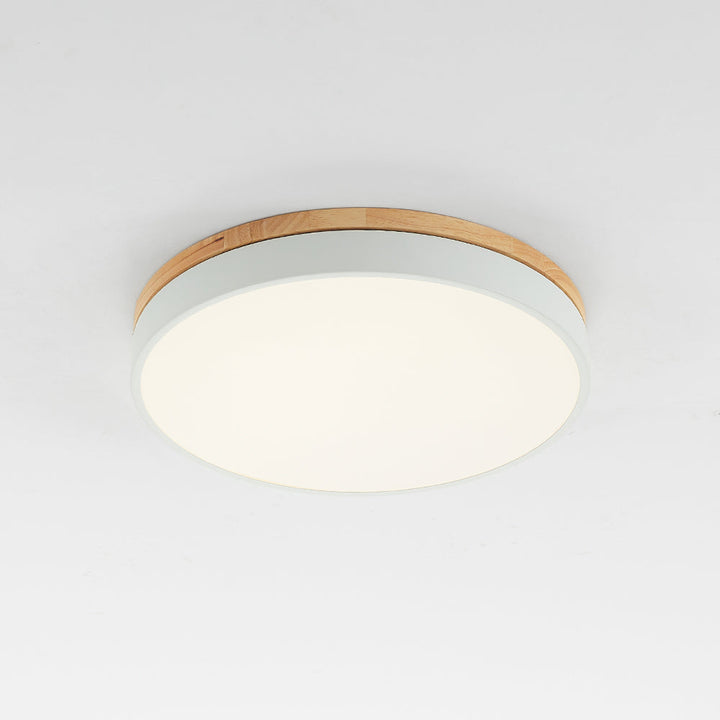 Slimme plafondlamp, rond dimbaar licht voor moderne kamers