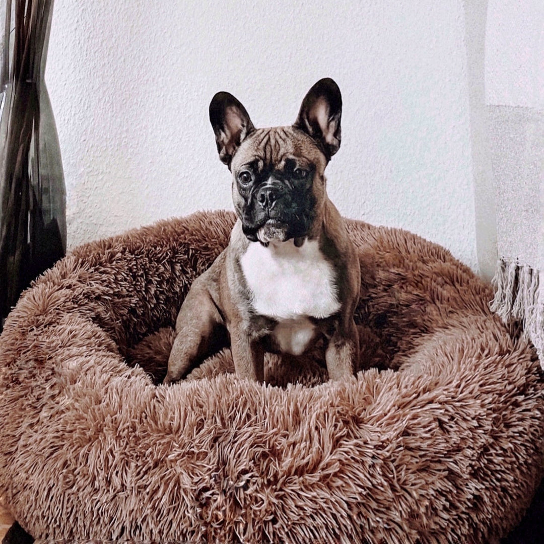 Fluffy Plus Hondenmand – Het Origineel