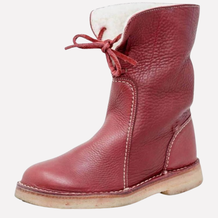 Vrouwen Koude Winterlaarzen