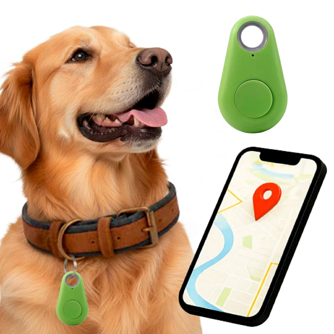 Betrouwbare gps-tracker voor honden zonder maandelijkse kosten, locatie in realtime