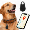 Betrouwbare gps-tracker voor honden zonder maandelijkse kosten, locatie in realtime