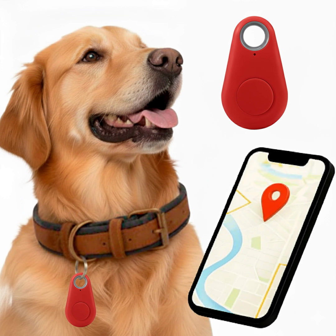 Betrouwbare gps-tracker voor honden zonder maandelijkse kosten, locatie in realtime