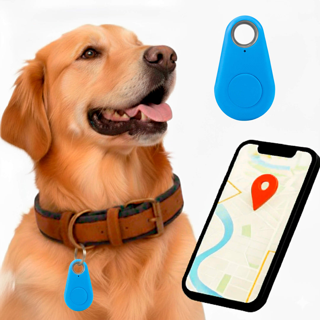 Betrouwbare gps-tracker voor honden zonder maandelijkse kosten, locatie in realtime