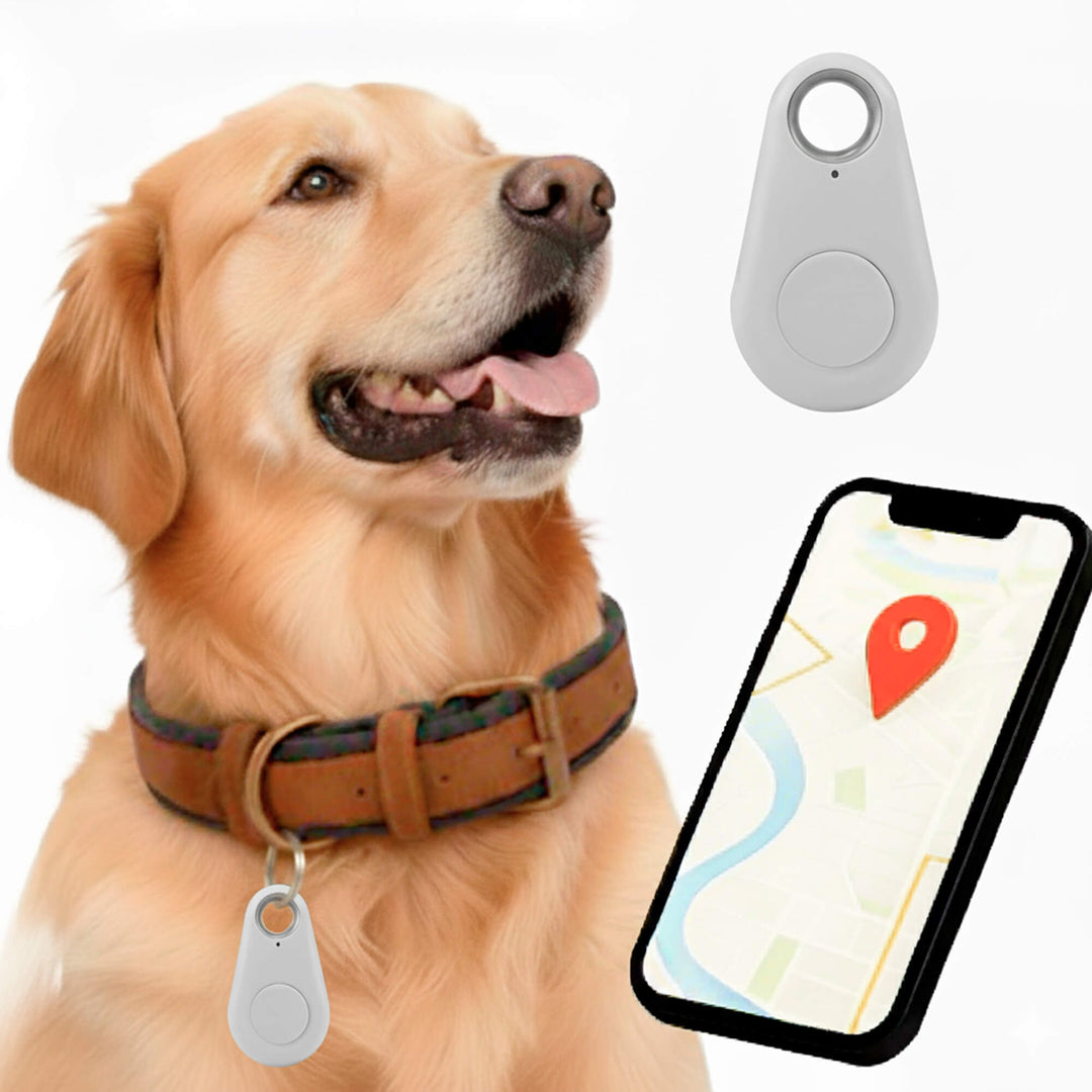 Betrouwbare gps-tracker voor honden zonder maandelijkse kosten, locatie in realtime
