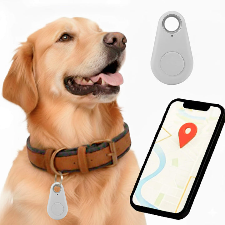 Betrouwbare gps-tracker voor honden zonder maandelijkse kosten, locatie in realtime