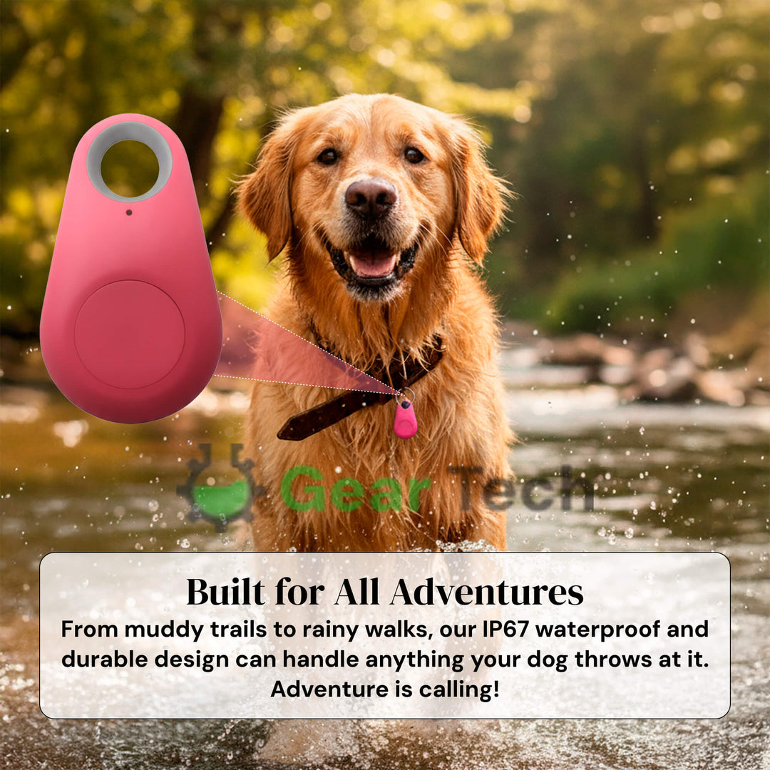 Betrouwbare gps-tracker voor honden zonder maandelijkse kosten, locatie in realtime