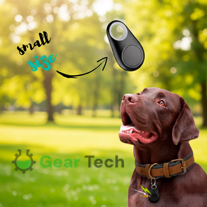 Betrouwbare gps-tracker voor honden zonder maandelijkse kosten, locatie in realtime