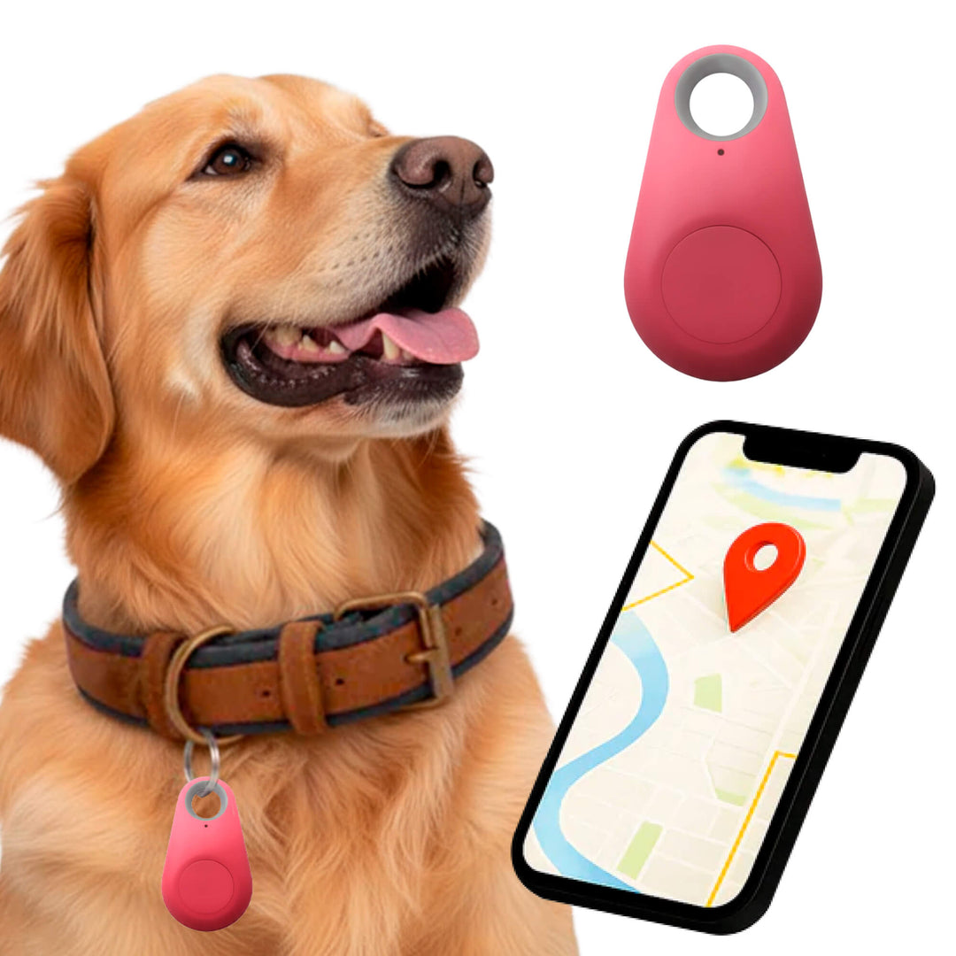 Betrouwbare gps-tracker voor honden zonder maandelijkse kosten, locatie in realtime