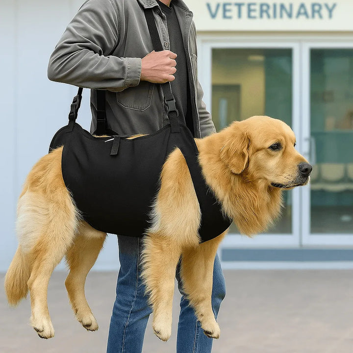 Hondenhefharnas | Draagriem voor grote honden | Dagelijkse mobiliteitshulp