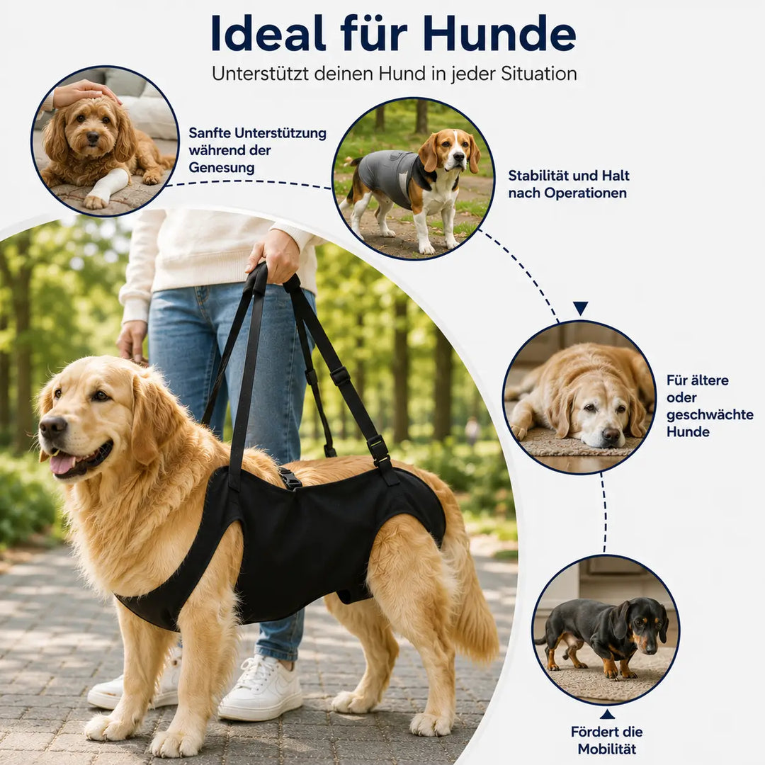 Hondenhefharnas | Draagriem voor grote honden | Dagelijkse mobiliteitshulp