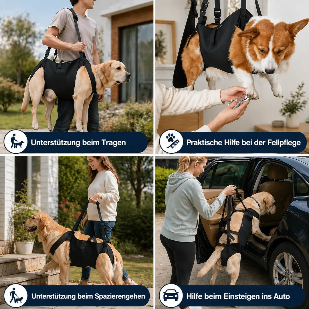 Hondenhefharnas | Draagriem voor grote honden | Dagelijkse mobiliteitshulp