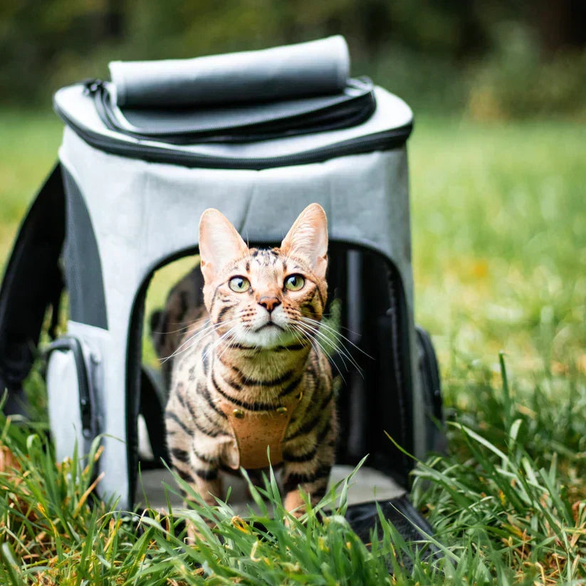 Kattenrugzak - PurrPack