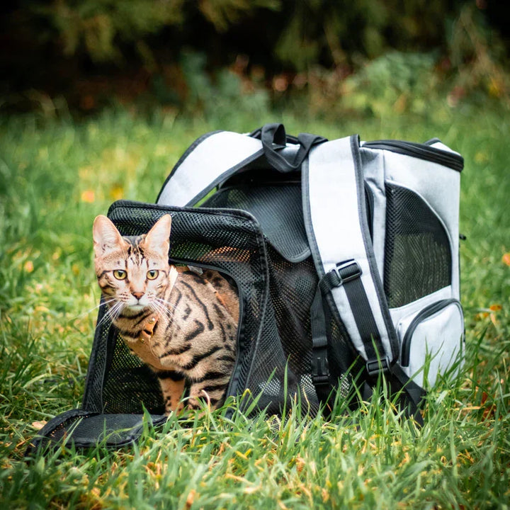 Kattenrugzak - PurrPack