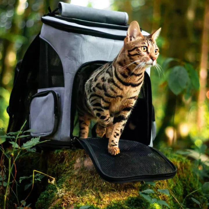 Kattenrugzak - PurrPack
