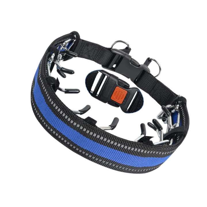 Trainingshalsband voor honden met verstelbare pasvorm voor dagelijkse wandelingen