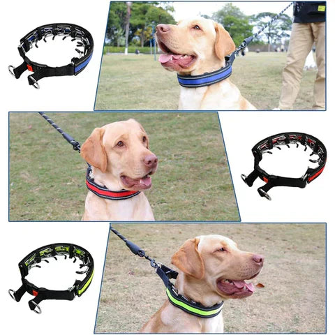 Trainingshalsband voor honden met verstelbare pasvorm voor dagelijkse wandelingen