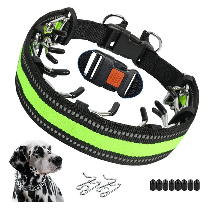 Trainingshalsband voor honden met verstelbare pasvorm voor dagelijkse wandelingen