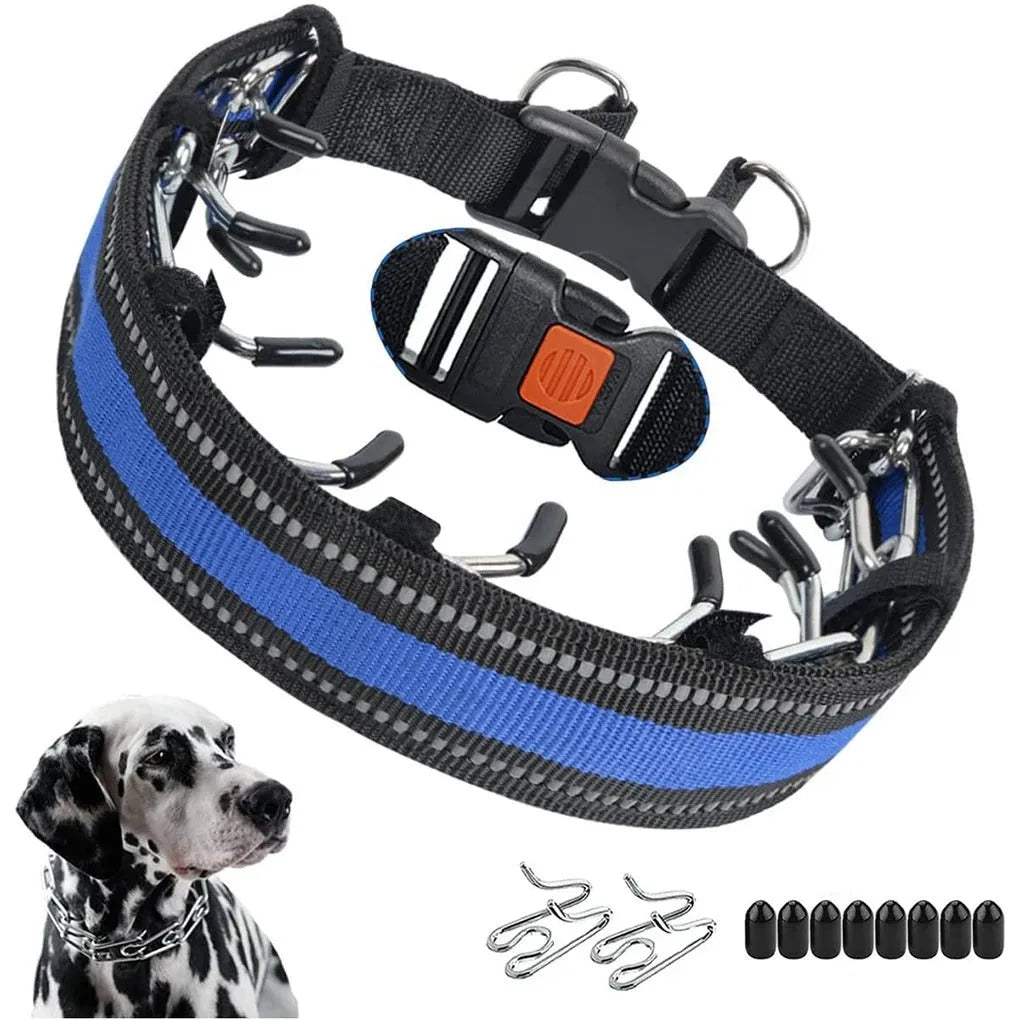 Trainingshalsband voor honden met verstelbare pasvorm voor dagelijkse wandelingen